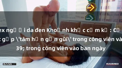 sex người da đen Khoảnh khắc cấm kỵ: Cặp đôi bị bắt gặp 'tâm hồn gần gũi' trong công viên vào ban ngày